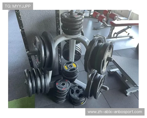 哪些健身器材适合全身锻炼？体育专家推荐精选器械